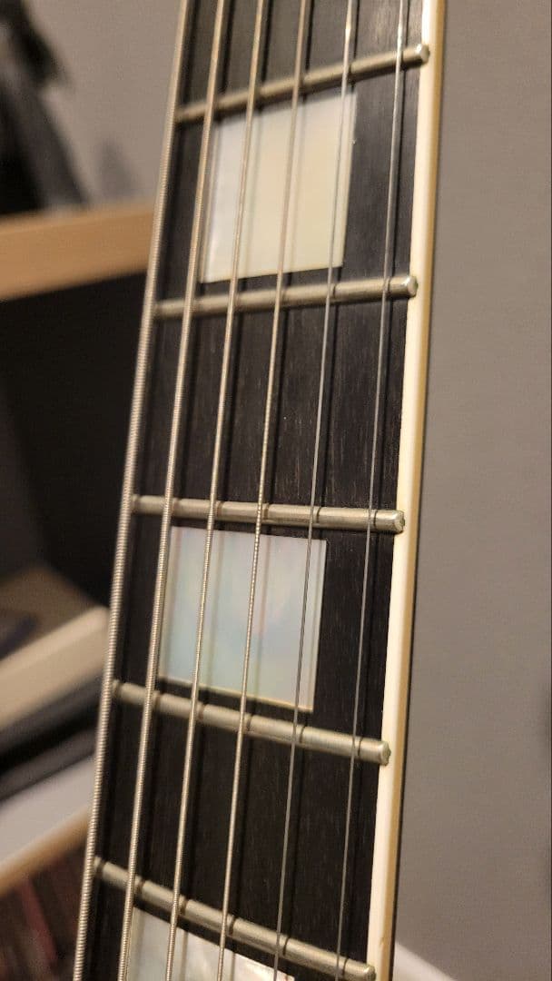 FUJIGEN NCLC-20E レスポールカスタム