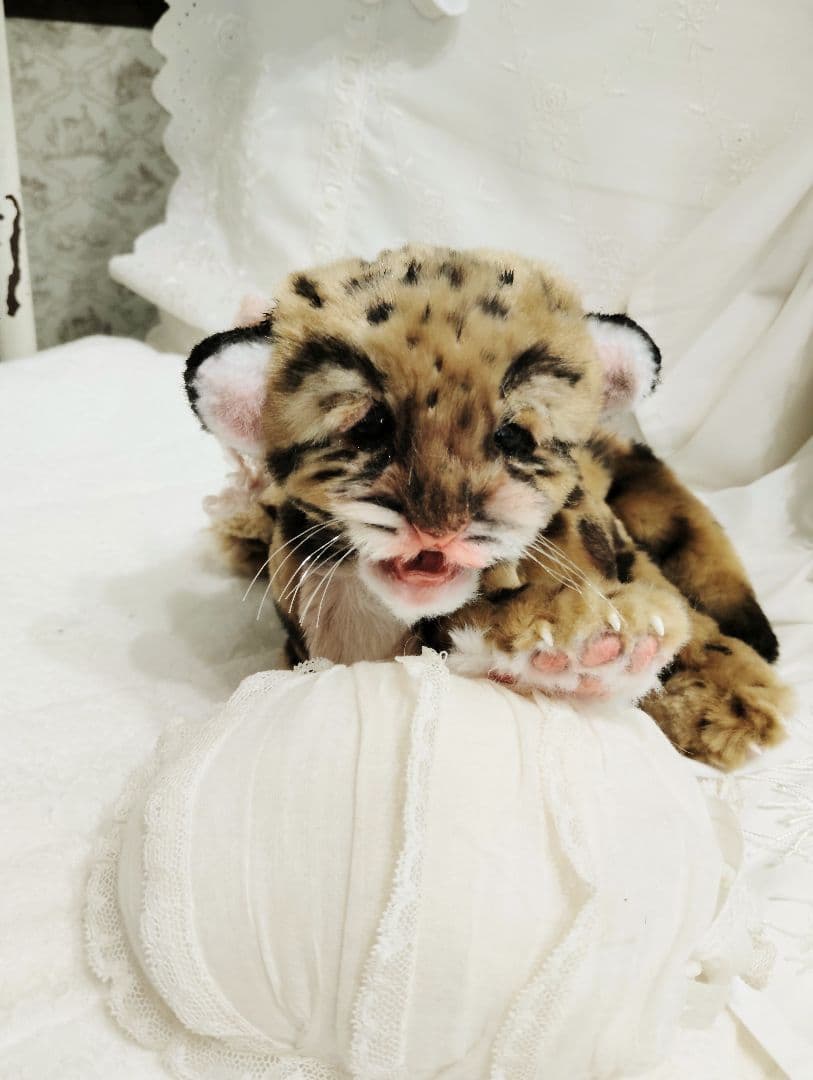 まなあきちゃん❤オーダー❤ウンピョウベビー♡アートドール♡ぬいぐるみ♡