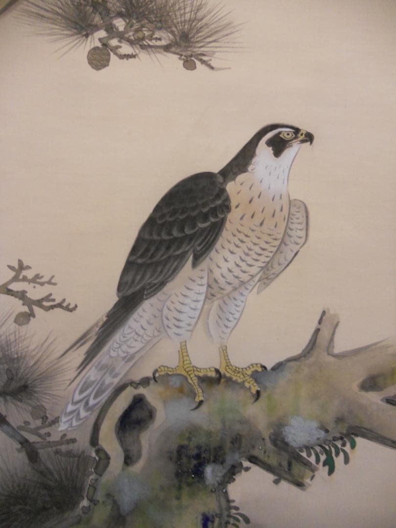 掛け軸 藤岡白鷹 松鷹の図 絹本 希少 軸装 茶道具 掛軸 美品 です。