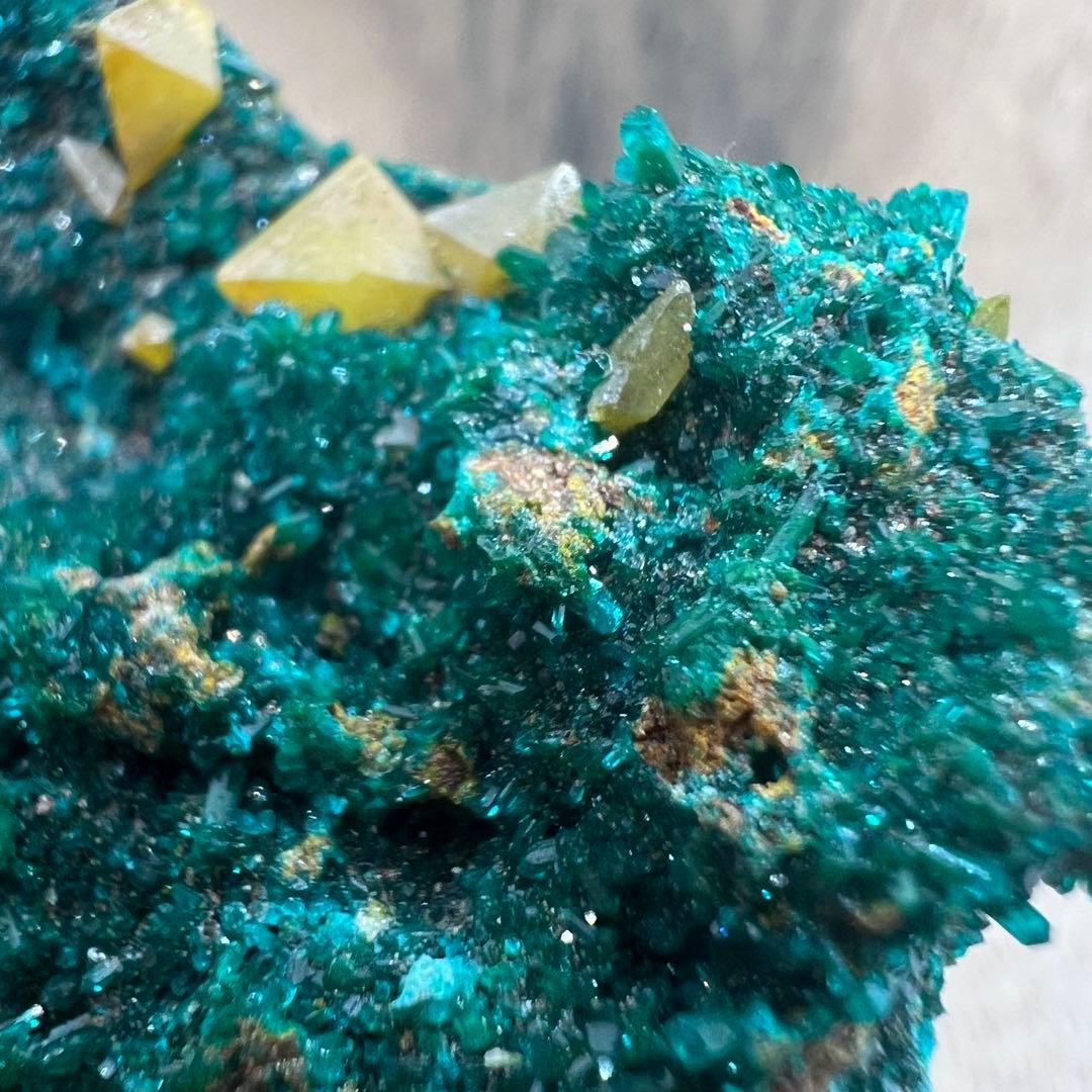 ダイオプテーズ ウルフェナイト 共生 鉱物 標本 原石