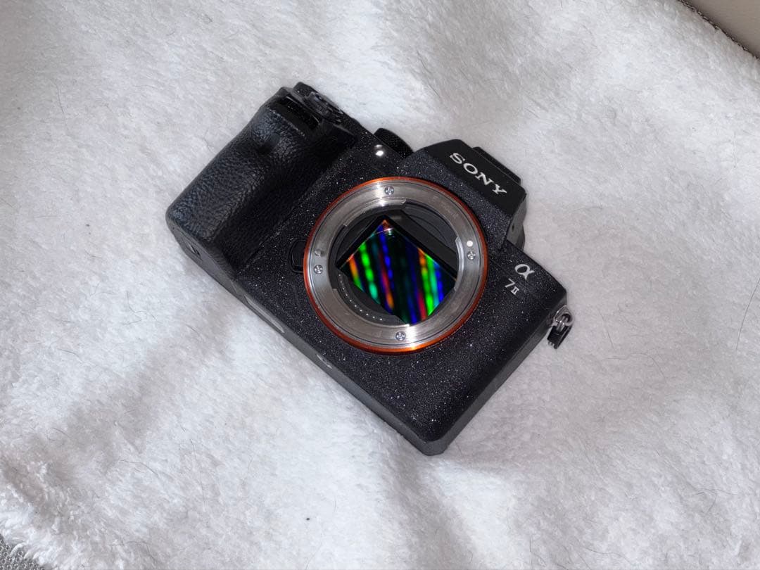 ichimasa さん限定SONY α7 II カメラ ボディー
