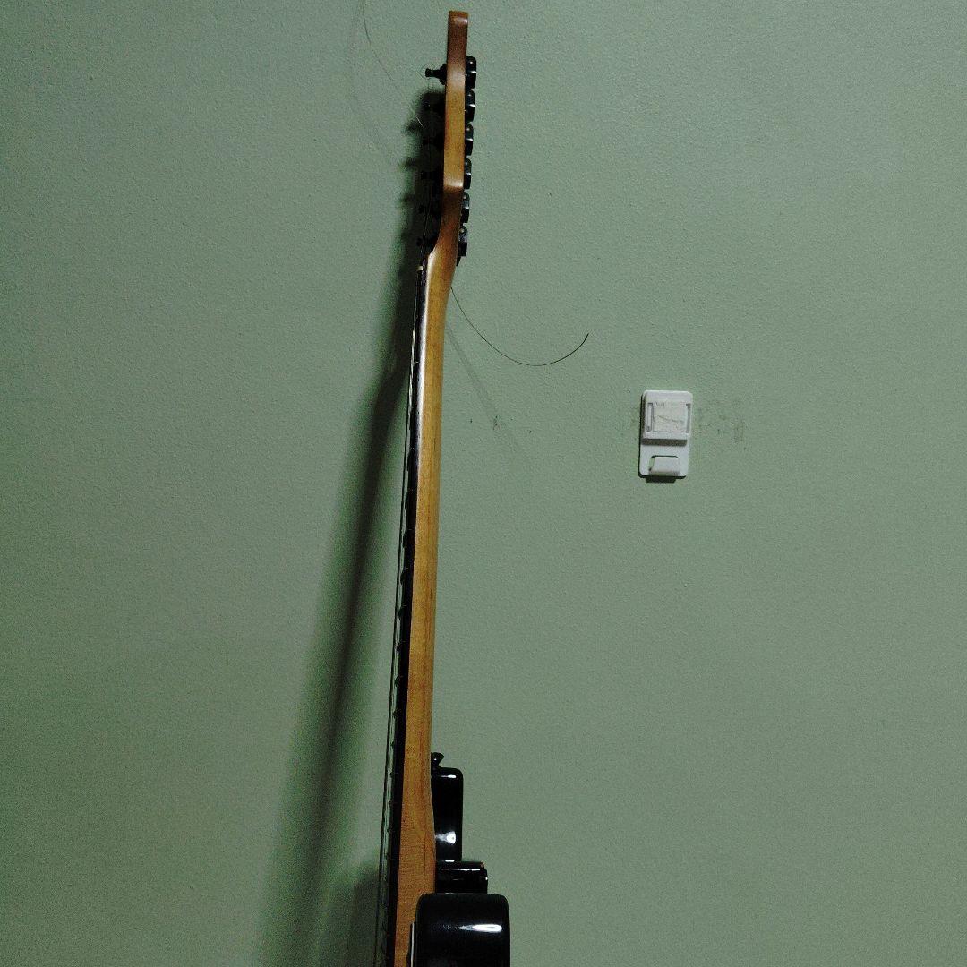 エレキギター FERNANDES