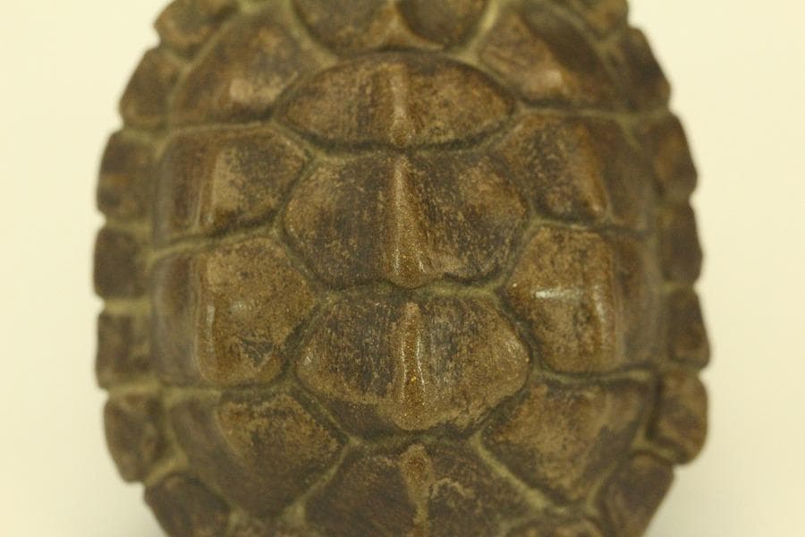 中国美術 紫泥 刻文字 亀甲羅 一対(HA532)