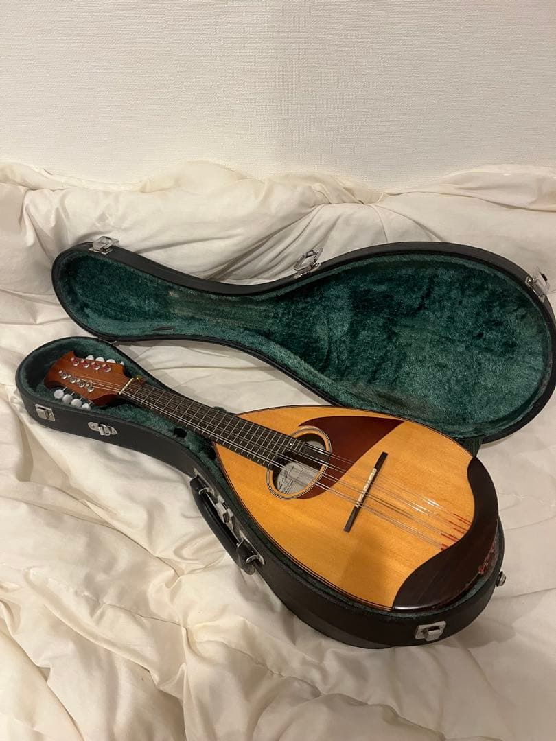 マンドリンと黒いケースセット