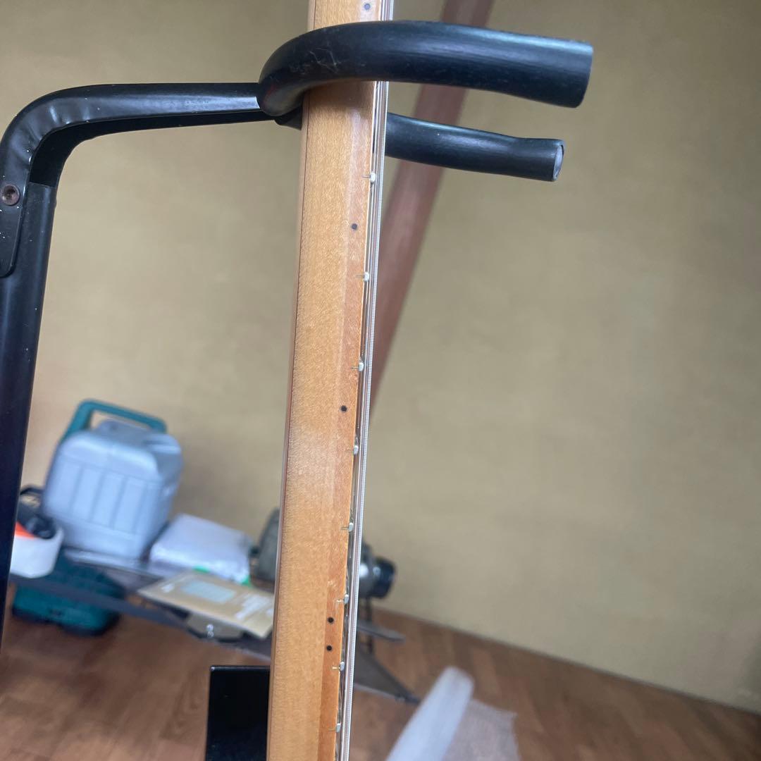 ギター Ibanez RG2450MZ-GK