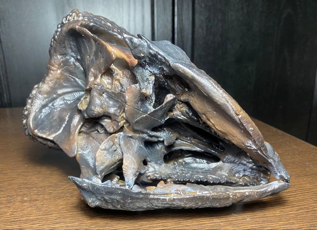 ステゴケラス 頭骨レプリカ その他 歯 化石