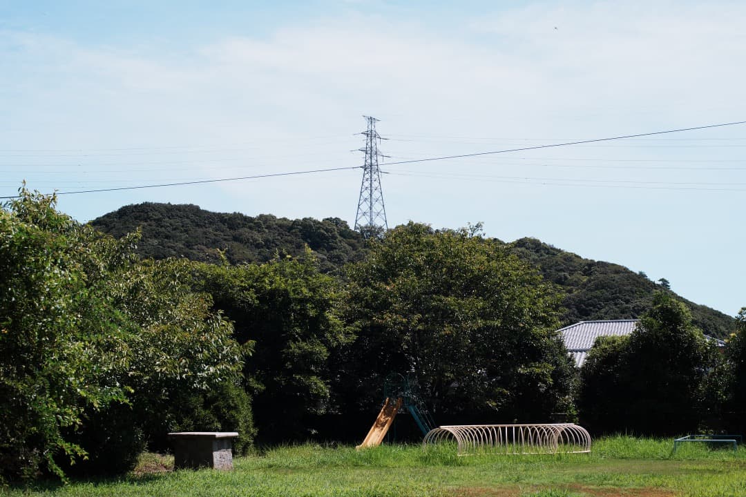 整&テ済 Carl Zeiss Planar 50mm F1.4 MMJ 356