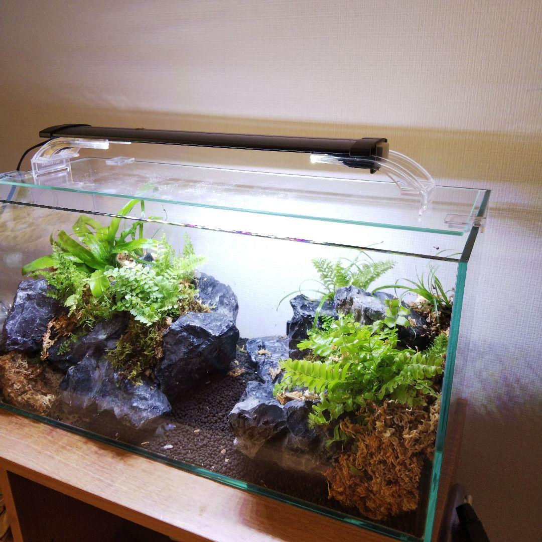 【受注生産】アクアテラリウム　カニリウム　イモリウム　苔　水槽　苔テラリウム