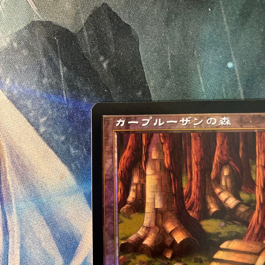 MTG 初版Foil カープルーザンの森 7ED 7版黒枠 NM JP
