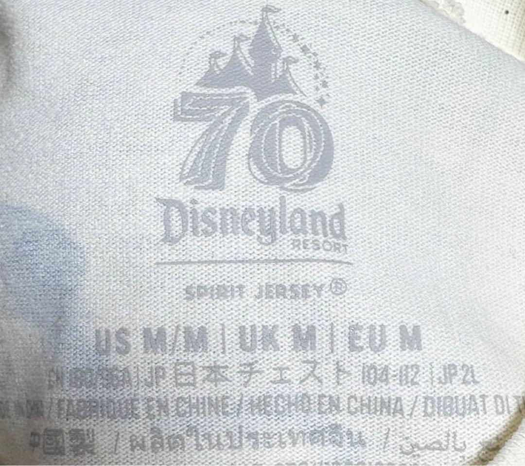 カリフォルニアディズニー 70周年 スピリットジャージ スピジャ エコバック