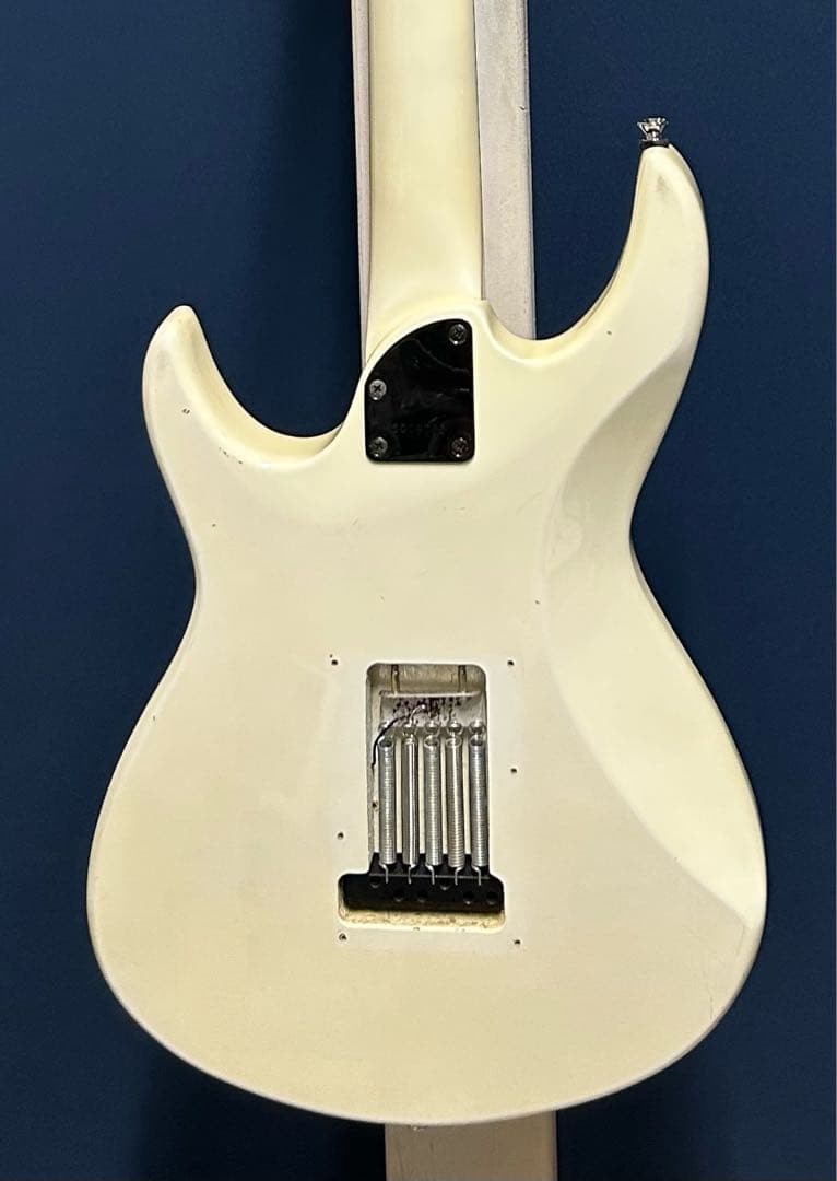 Black Dog by Aria pro Ⅱ ST type mod.