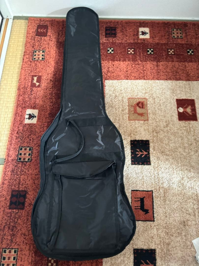 ARIA PRO II RSB SERIES 5弦ベース