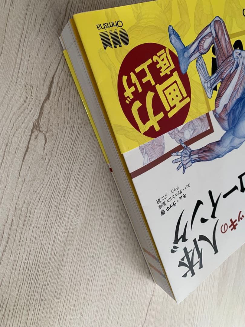 ソッカの美術解剖学ノート キム・ラッキの人体ドローイング