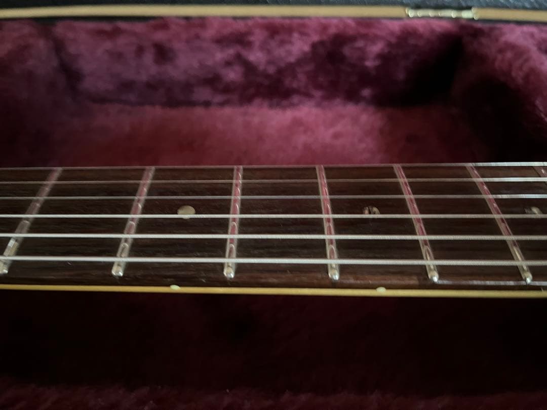 Fujigen expert os 2010年製