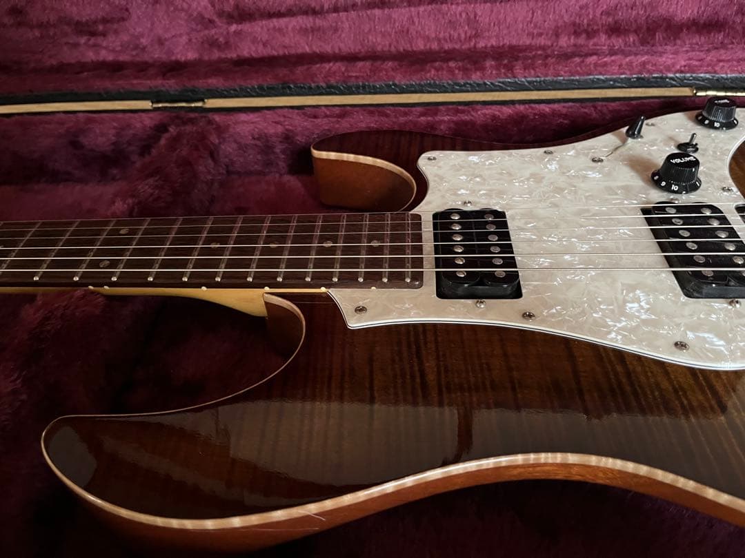 Fujigen expert os 2010年製