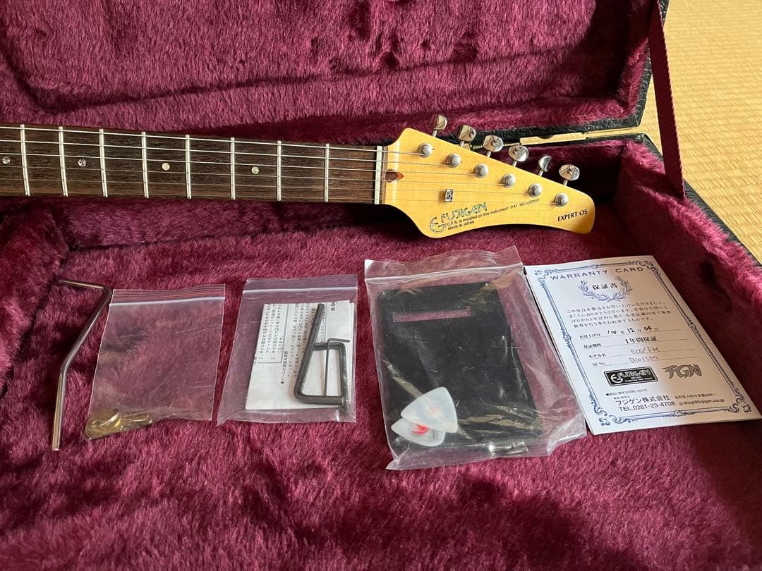 Fujigen expert os 2010年製