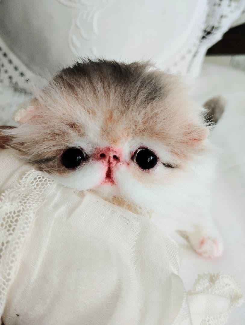 ママ募集❤くりくりオメメ♡ちっちゃな子猫ちゃん♡アートドール♡ぬいぐるみ♡