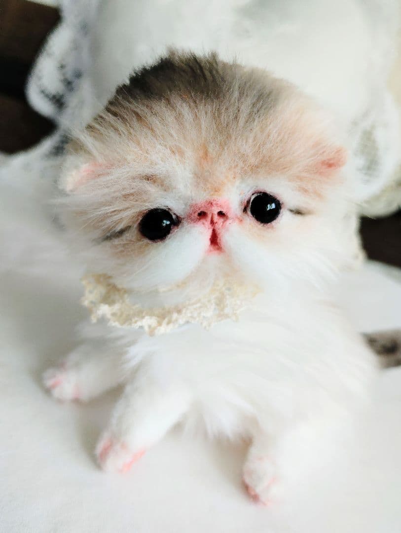 ママ募集❤くりくりオメメ♡ちっちゃな子猫ちゃん♡アートドール♡ぬいぐるみ♡