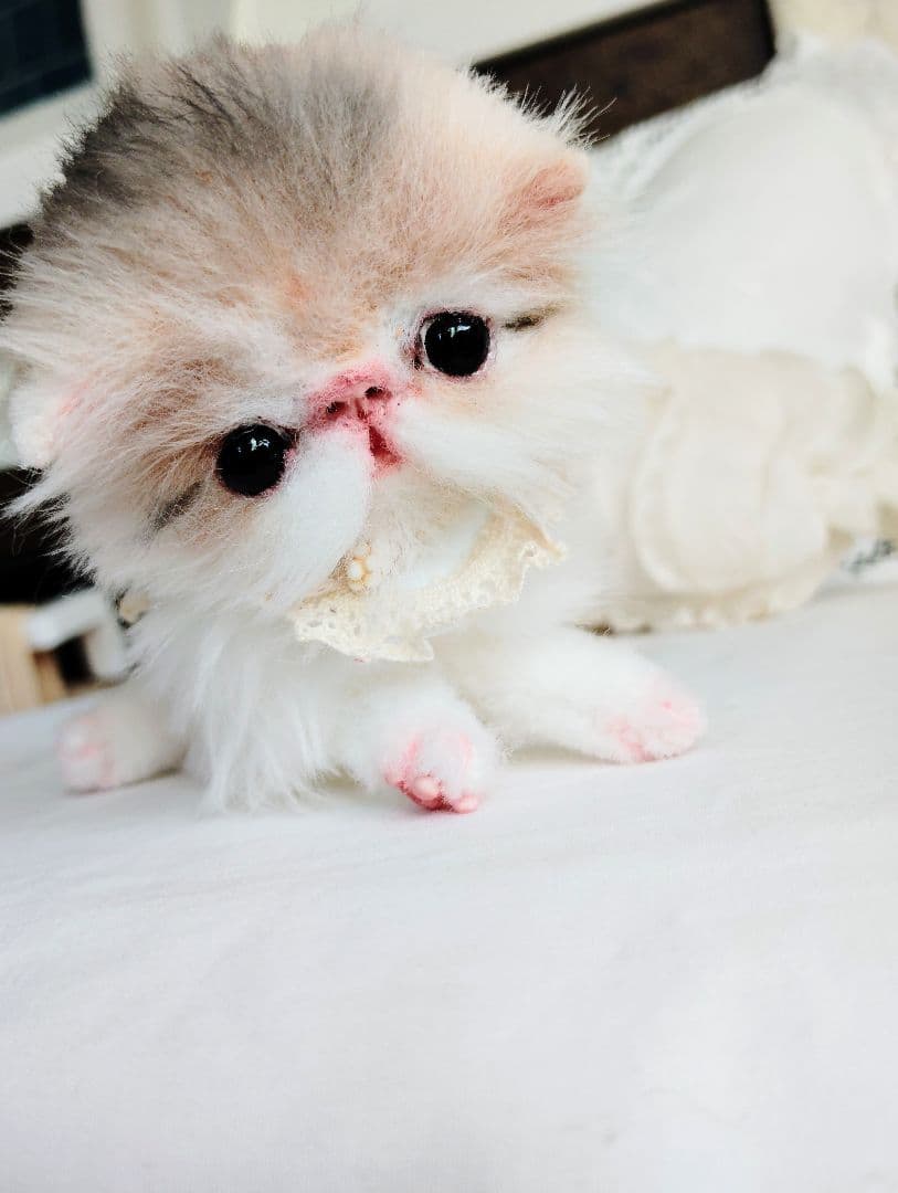 ママ募集❤くりくりオメメ♡ちっちゃな子猫ちゃん♡アートドール♡ぬいぐるみ♡