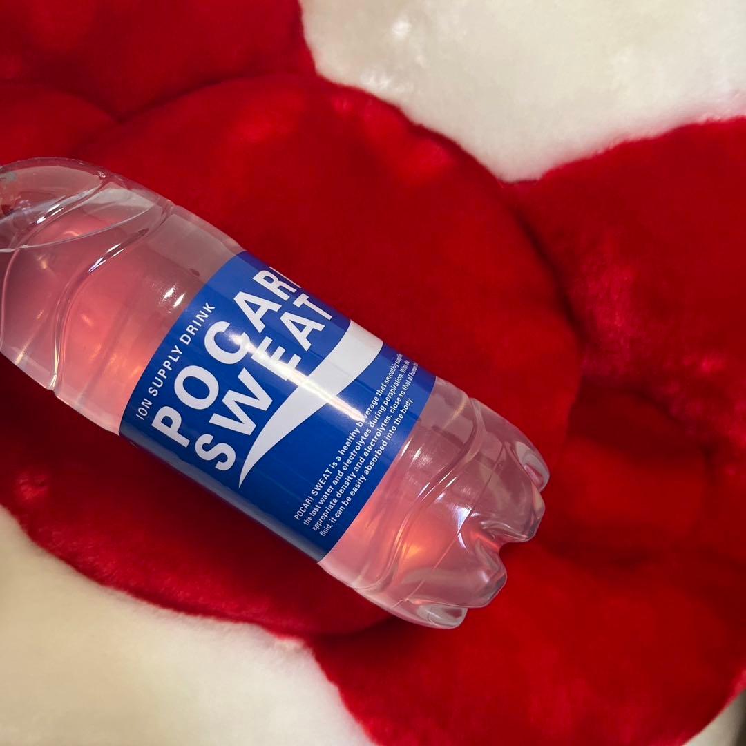 サンリオレトロ　ハローキティ　2001 BIG　ぬいぐるみ　レア