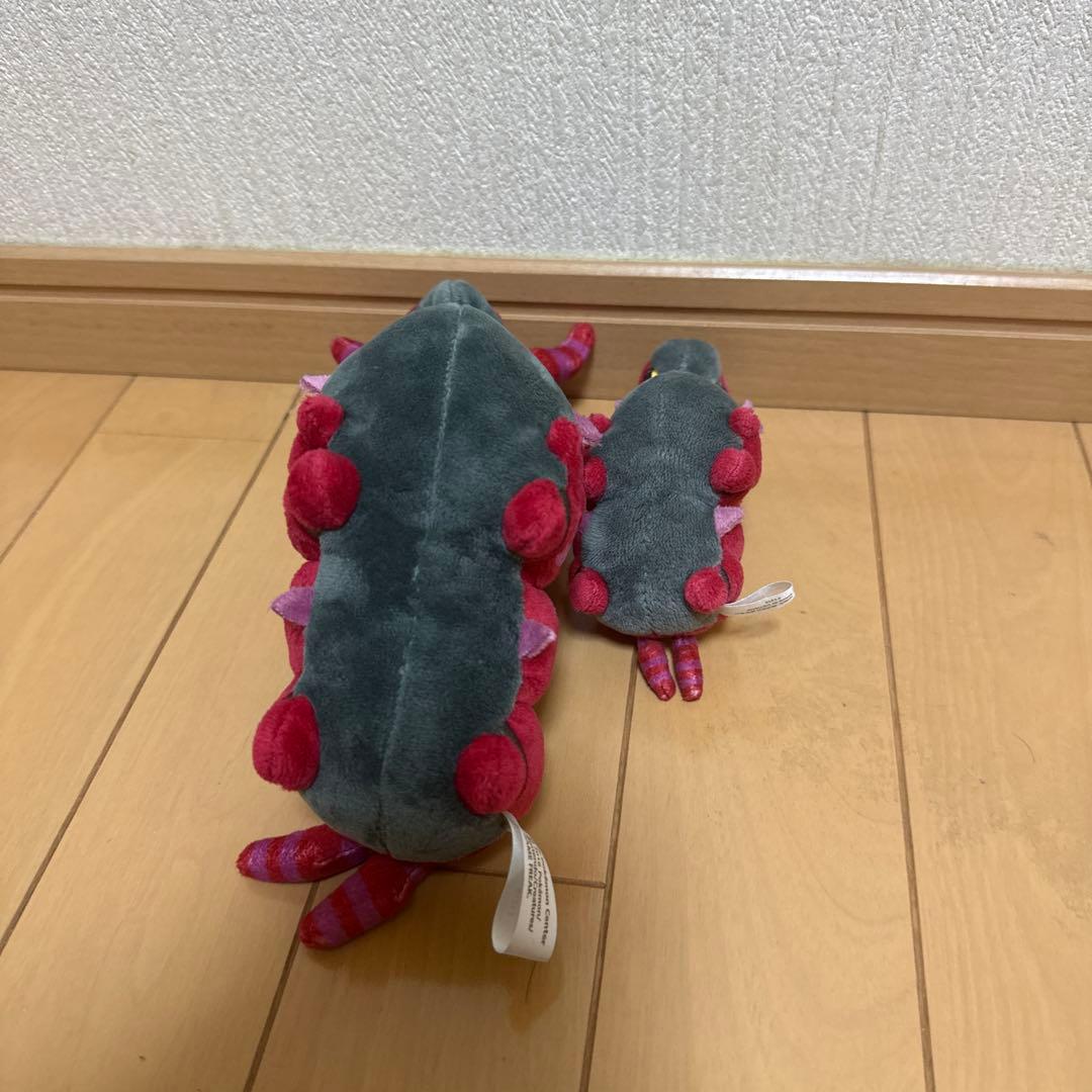 ポケモンドールズ& pokemon fit フシデ ホイーガ ペンドラー