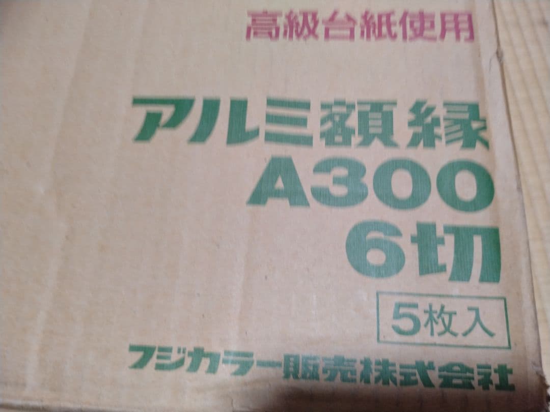フジカラー 写真用アルミ額縁 A300 6切 5枚セット フォトフレーム