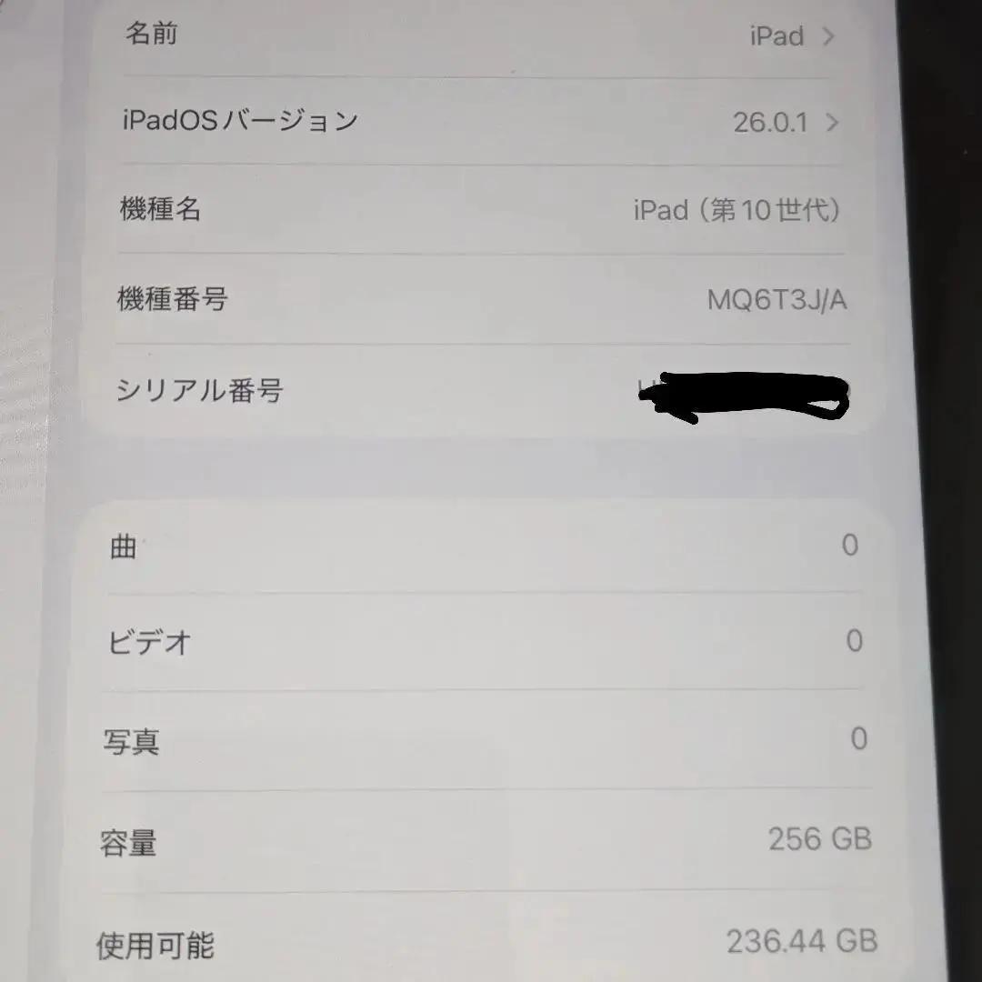 【本年高騰】iPad iOS26 256GB Wi‑Fi+Cellular対応