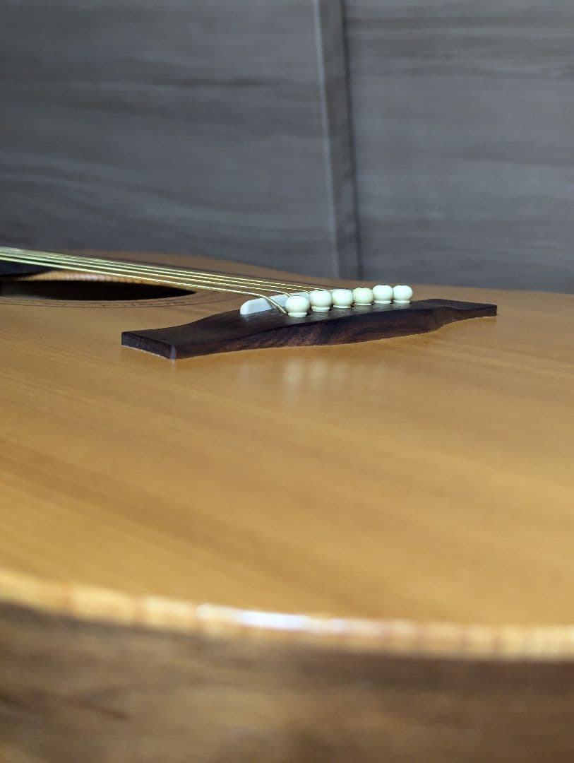 Seagull Walnut mini jumbo カナダ製