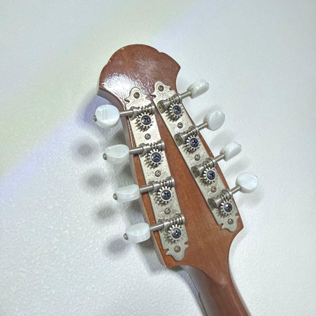 藤丸常夫　No.artistマンドリン