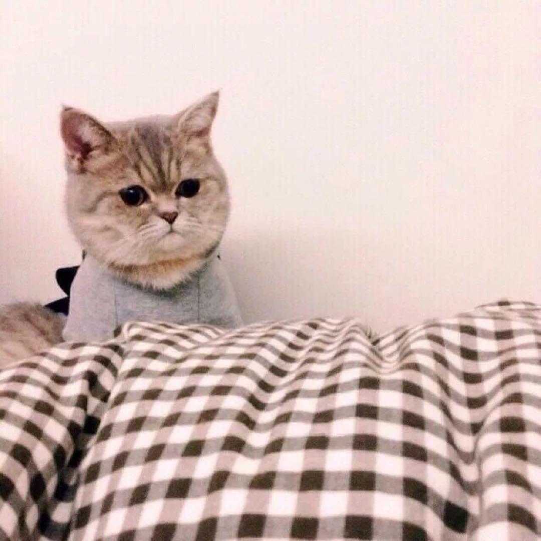 リラ☆プロフ必読発送日記載