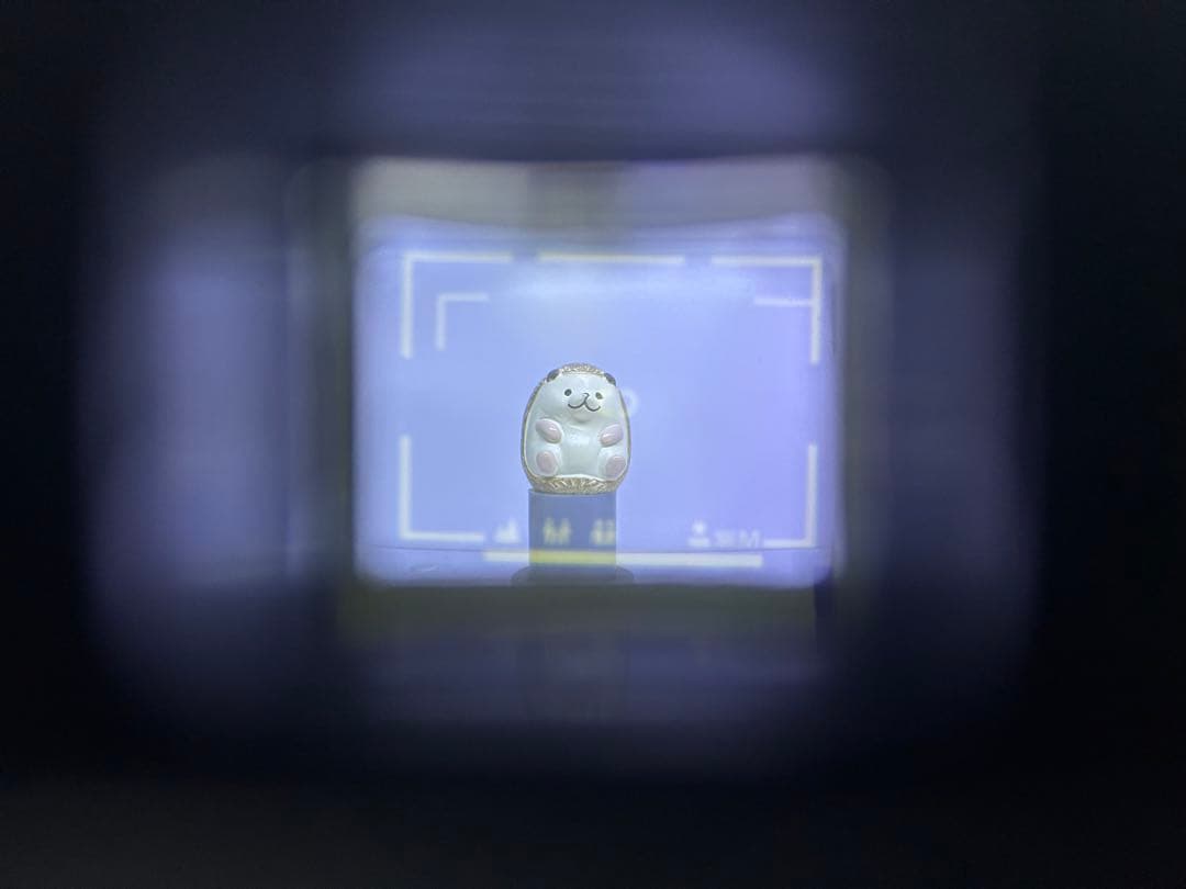 Nikon ニコン L35AF2 海外向ニューピカイチ 動作品 コンパクトカメラ