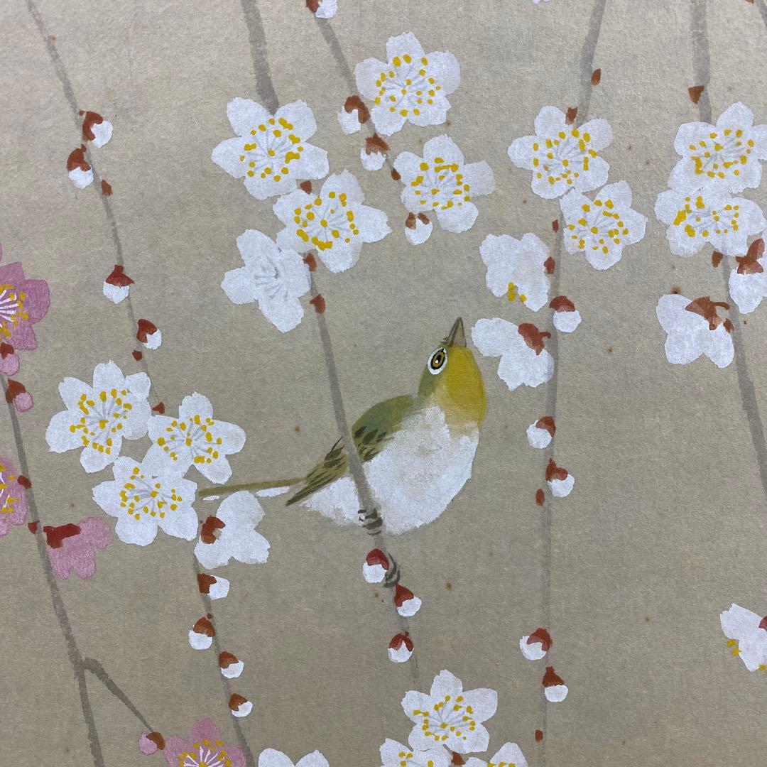 美品 掛け軸 出口華凰作 枝垂梅図 共箱 美術年鑑掲載 縁起物