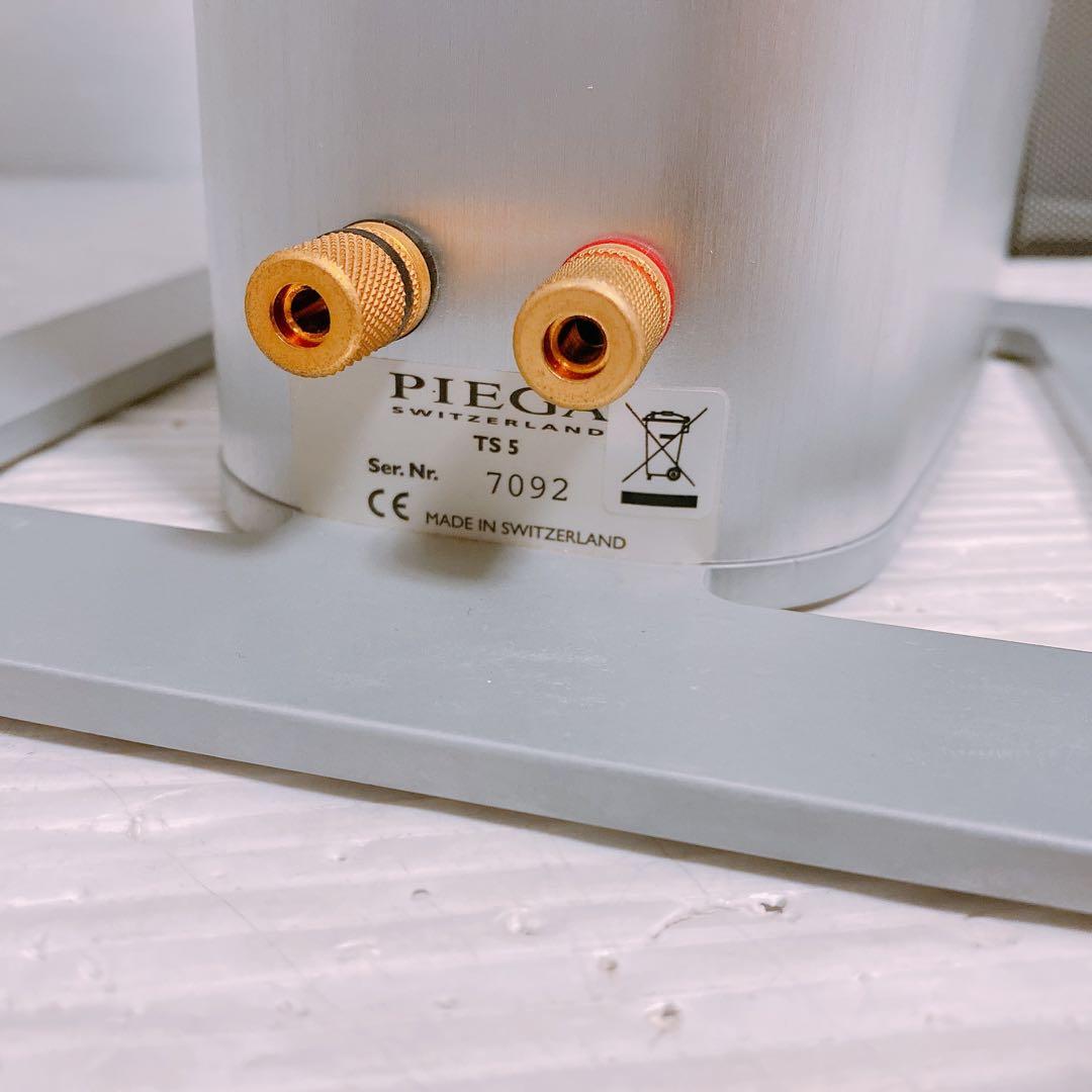 Piega TS5 スイス製トールボーイスピーカー