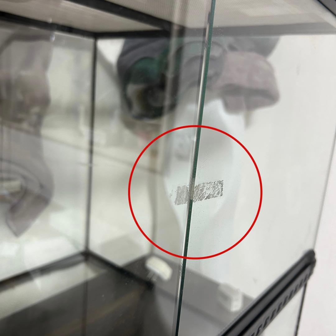 エキゾテラ　EXOTERRA GEX ガラス製 ケージグラステラリウム　6045