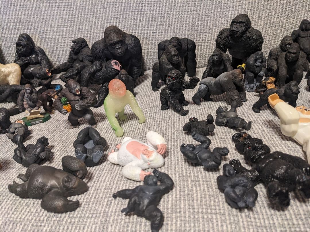 ゴリラの群れ　 約70体