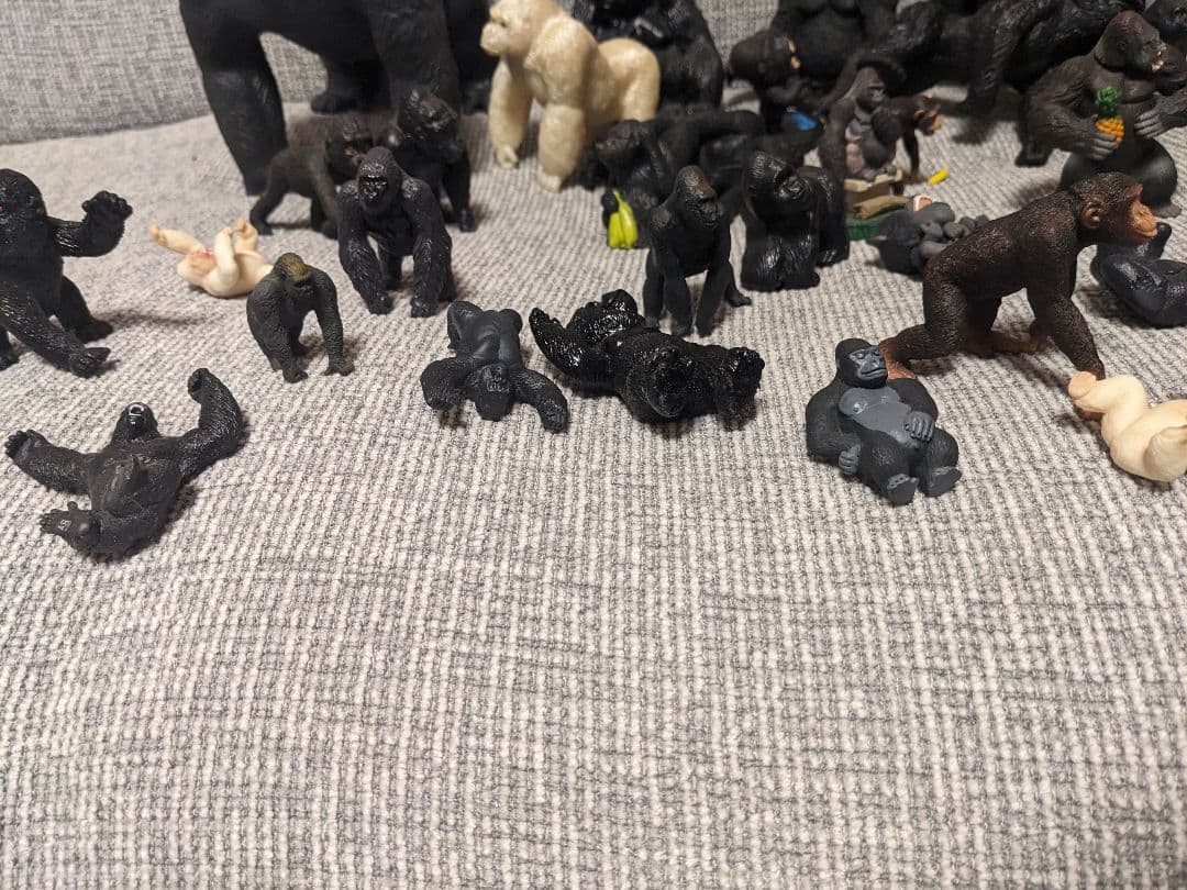 ゴリラの群れ　 約70体