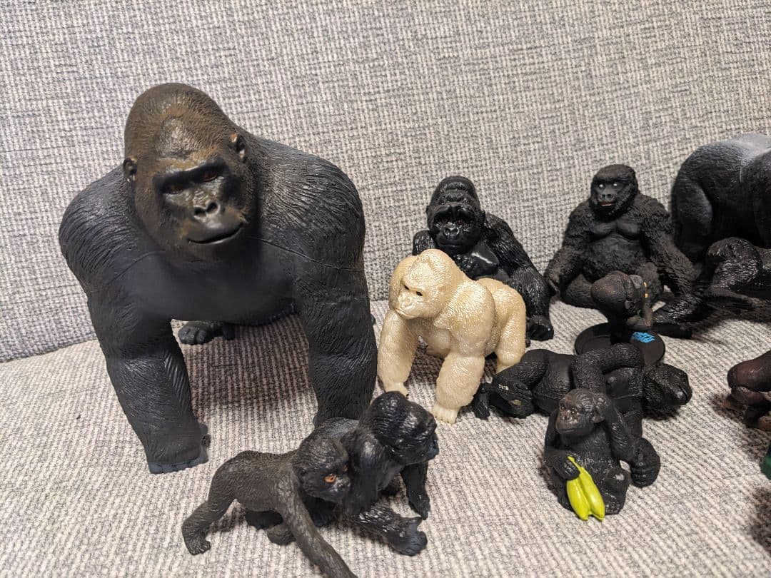 ゴリラの群れ　 約70体