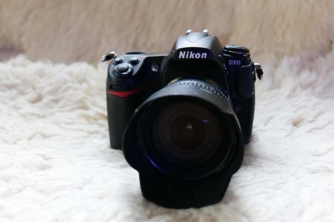ニコン　D300+AF-S DX 18-70mm F3.5-5.6 G ED