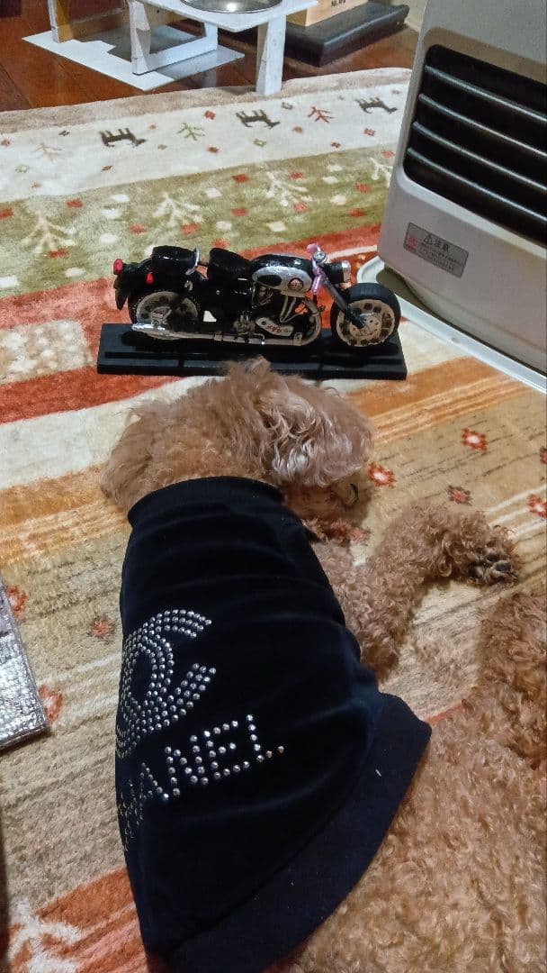 メグロスタミナｚ７