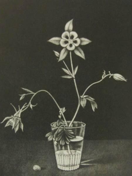 長谷川 潔、巨匠、アンコリの花/マニエルノワール・レゾネ、額装