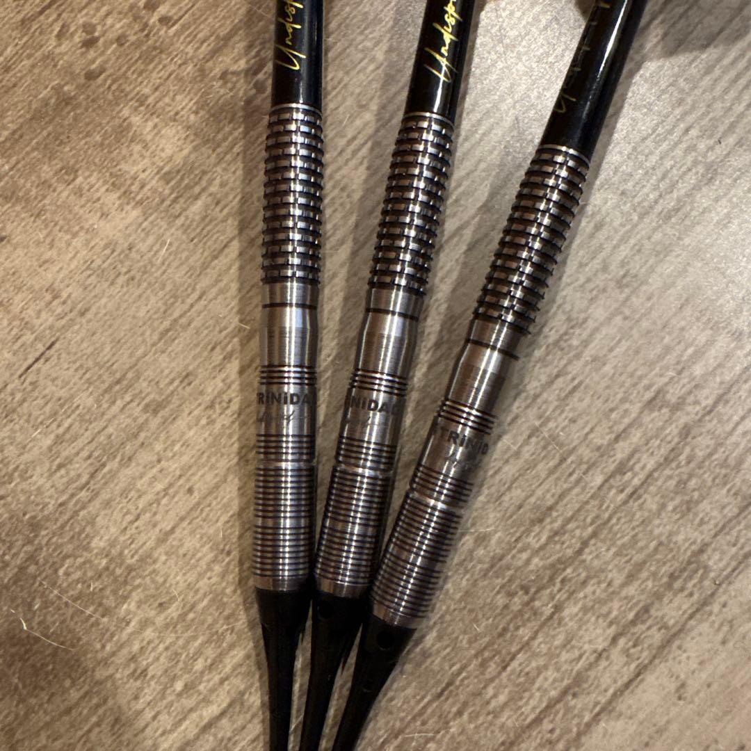 HUGO2エスダーツ限定モデル　ヒューゴ リョンモデル 極美品