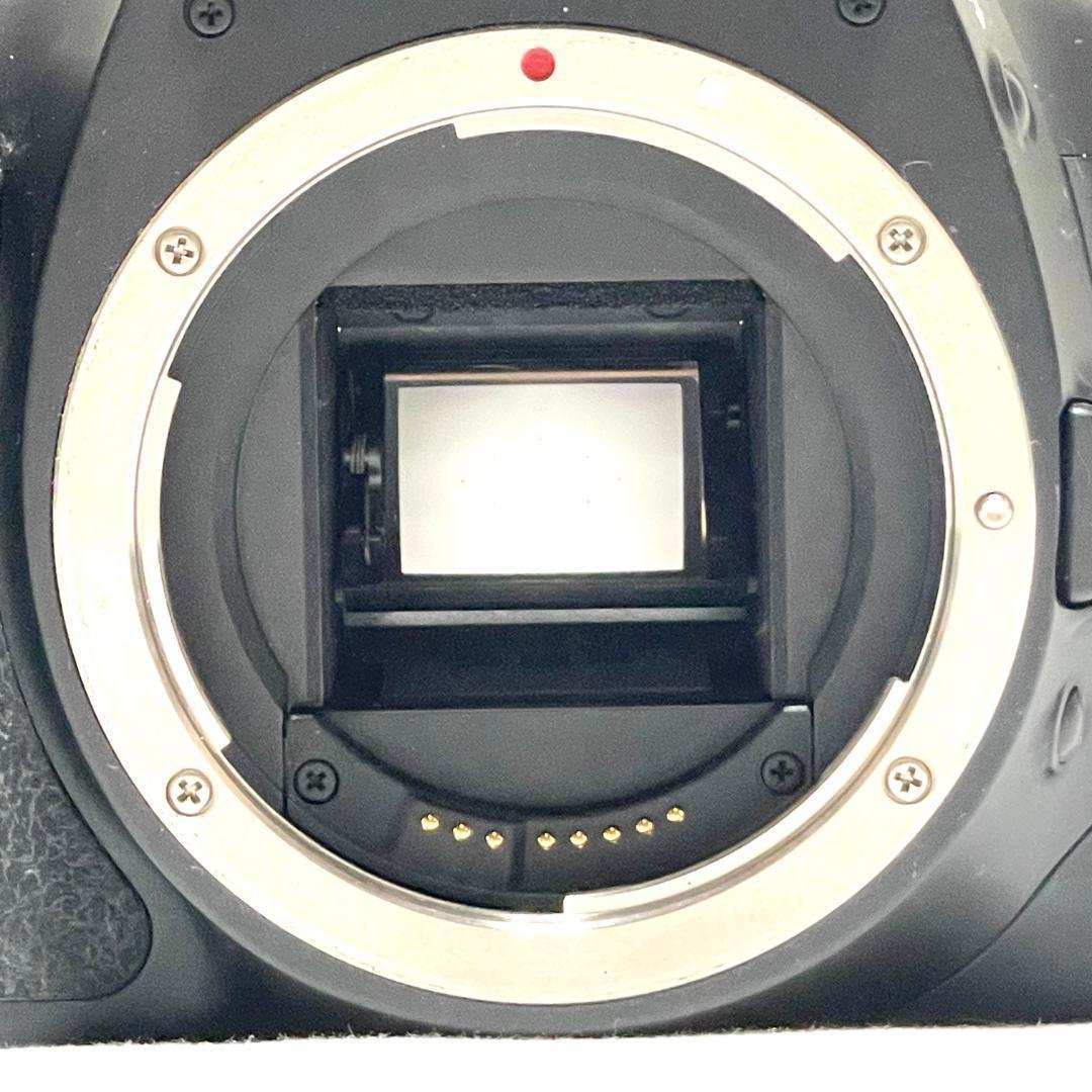 初心者向け❣️ Canon EOS Kiss X4 USMレンズセット☘️