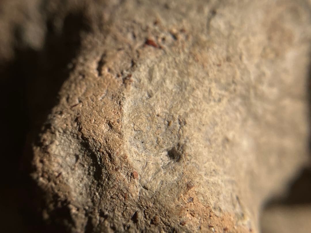 【美しい、、古代中国の羊像 新石器時代後期頃 前3000～2000年】骨董発掘