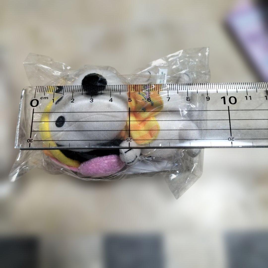 スヌーピーレトロンズぬいぐるみ　COLORS　冬バージョン　2個セットP