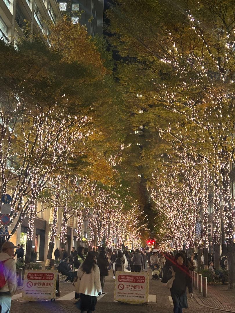 。　美品　PELLE MORBIDA 袋　付属品あり