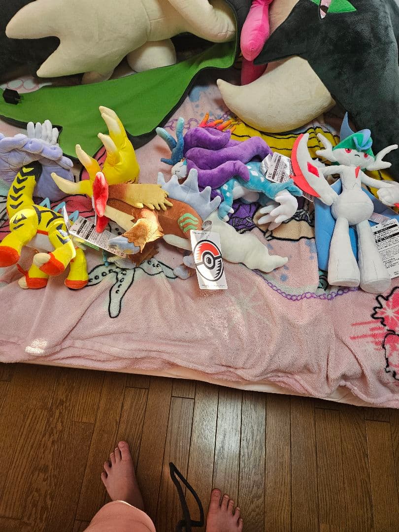 ポケモン　ぬいぐるみ　本日限定値下げ