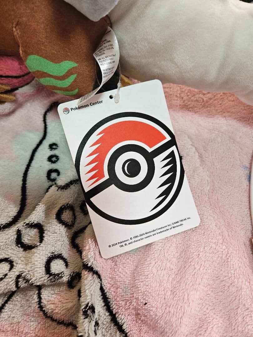 ポケモン　ぬいぐるみ　本日限定値下げ