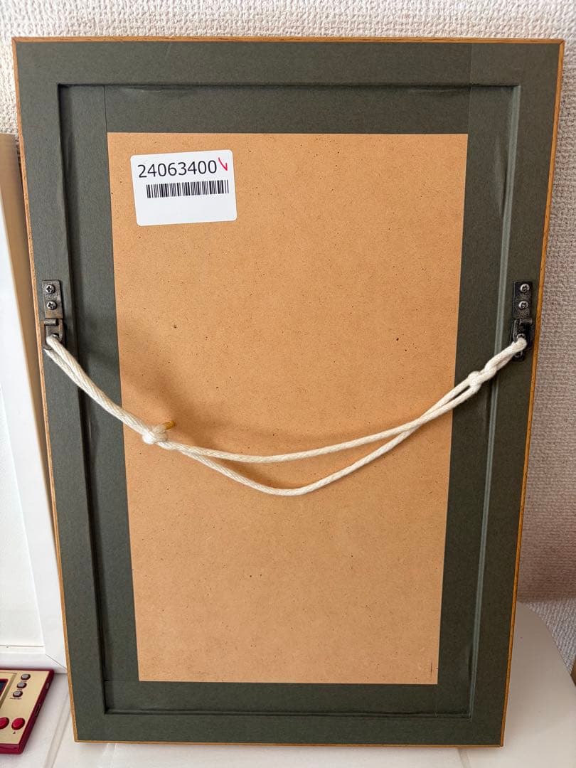 天野喜孝 ヴァンパイアハンターD リトグラフ ミスティシリーズ