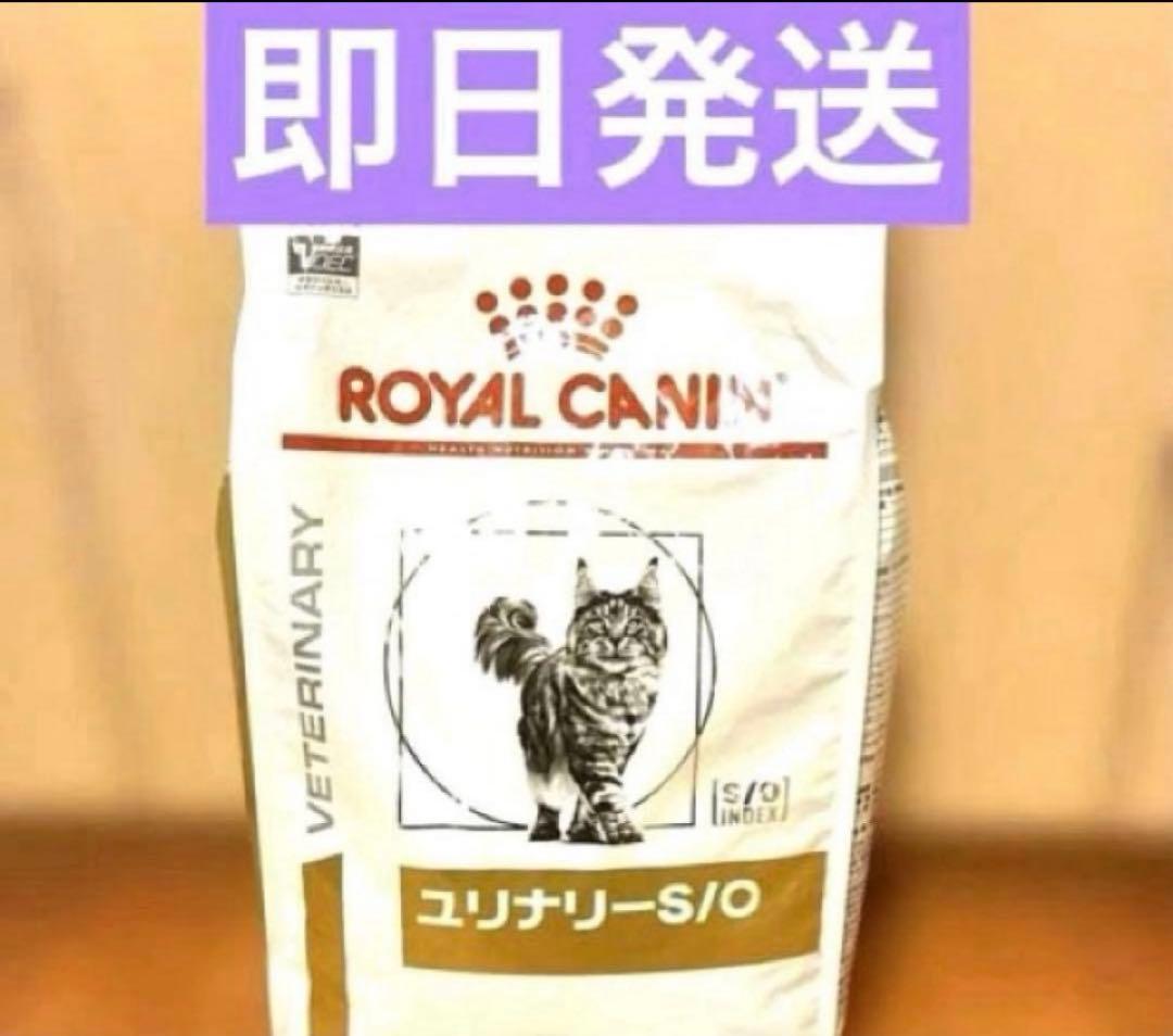  CANIN ユリナリー-S/O 療法食