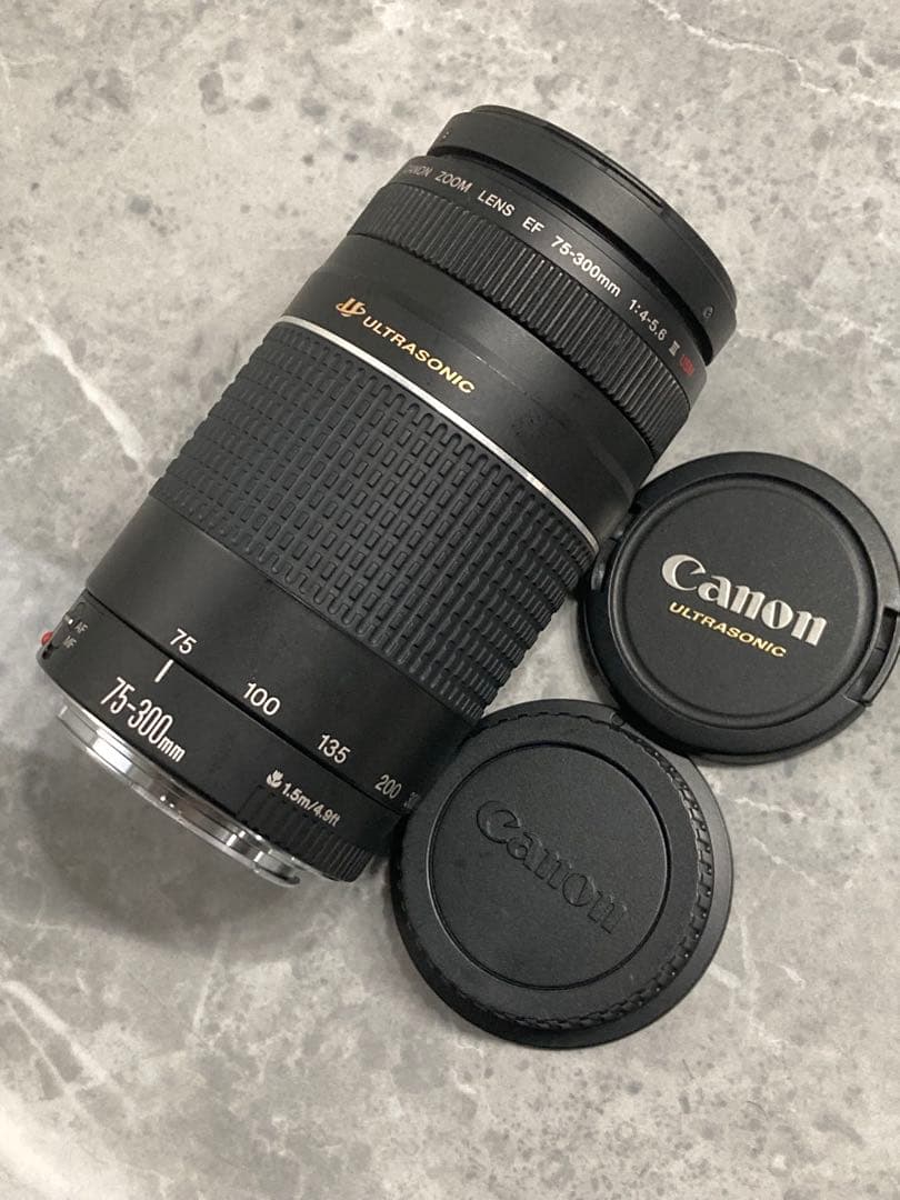 ⭐️完動品⭐️ Canon EF75-300mm & 28-80mmダブルレンズ